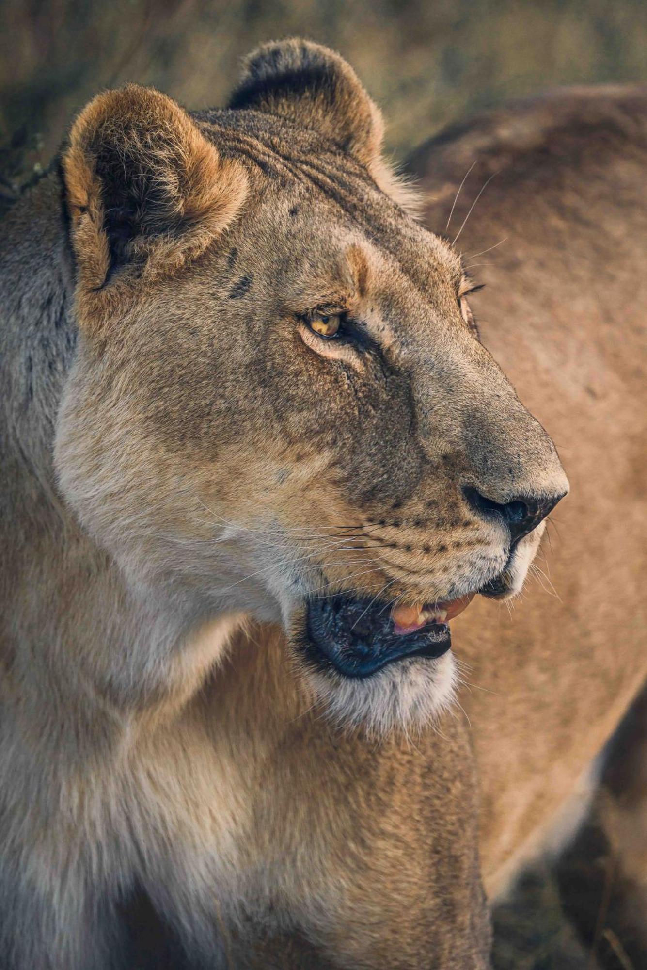 Grassland Safari Lodge Ghanzi エクステリア 写真